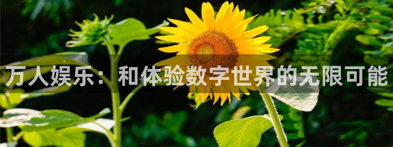 天狮娱乐