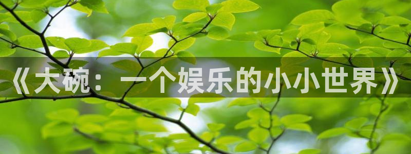 天狮娱乐：《大碗：一个娱乐的小小世界》