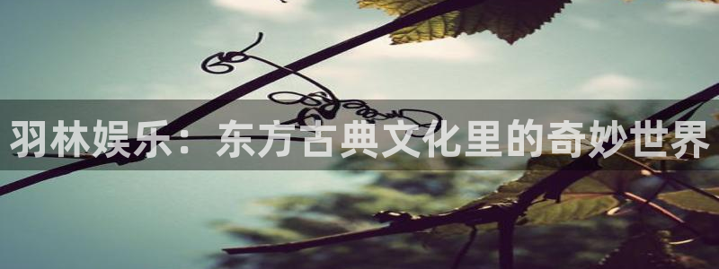 天狮娱乐：羽林娱乐：东方古典文化里的奇妙世界