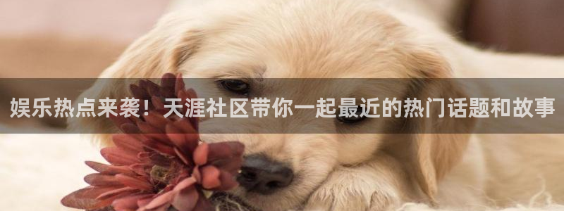 天狮娱乐：娱乐热点来袭！天涯社区带你一起最近的热门话题和故事
