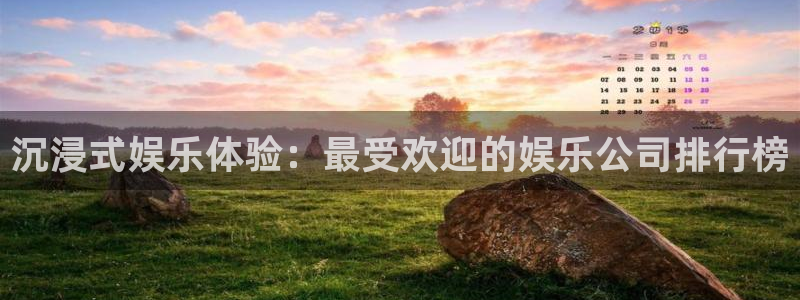 天狮娱乐：沉浸式娱乐体验：最受欢迎的娱乐公司排行榜